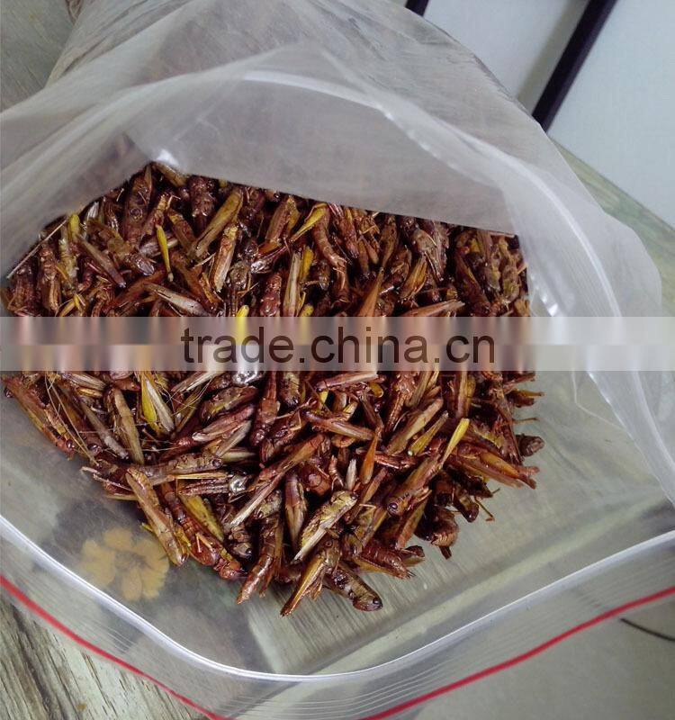 Animal feed supplies Microwave dried locusts dog fish treats