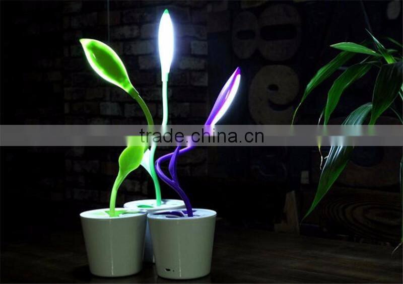 Creative eye touch Nightlight Charging type adjustable switch No radiation Doudou seedlings of LED lamp
