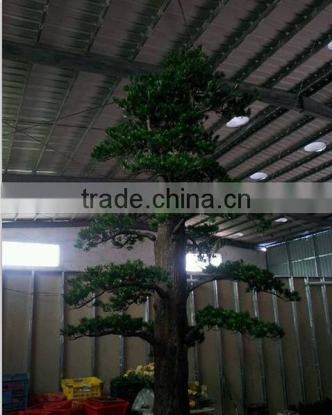 hot sale artificial tall pine trees
