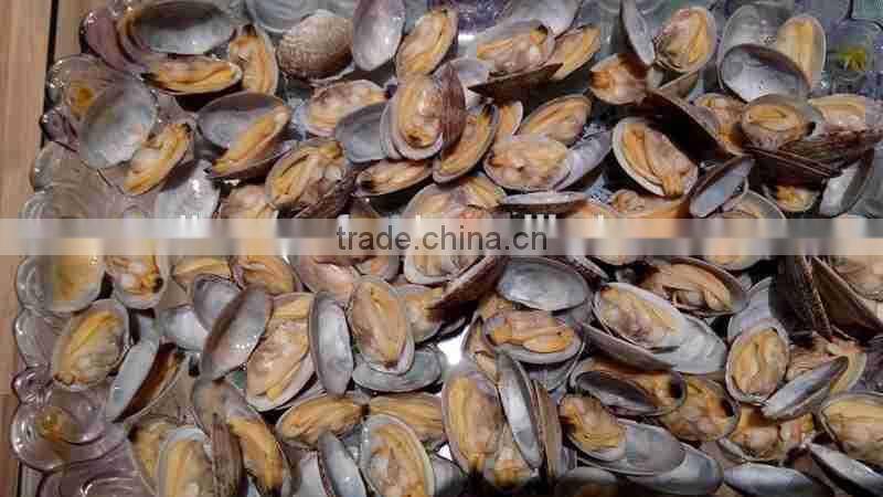 Frozen whole cooked Vacuum packing clam in available price