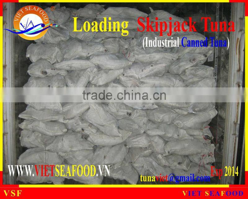 LOADING SKIPJACK TUNA