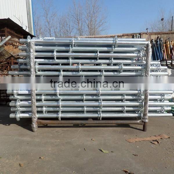 Best price ringlock scaffolding system made in China