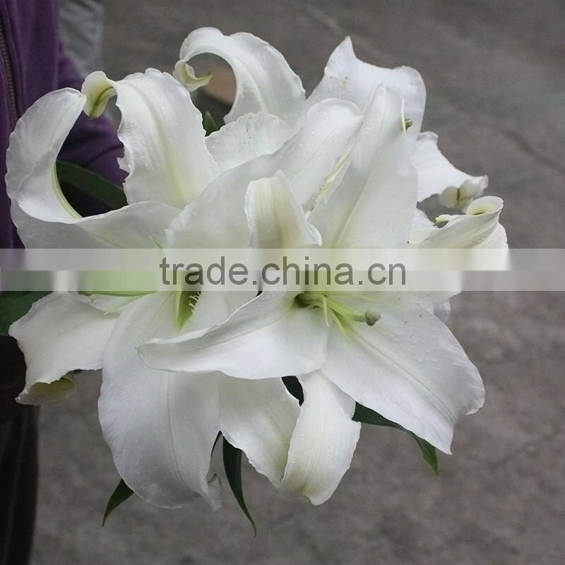 2016 Hot Sale Decorative White Spray Head Lily FlowerWedding Table Centerpieces Flower Wholesale Flower From Yunnan