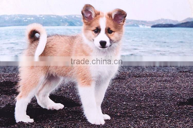 Custom Full Screen Printing Fleece Thermal Throw Carpet For Dogs