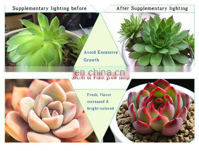 Relight Full spectrum led strip grow lights for vegetable cultavation and greens growth