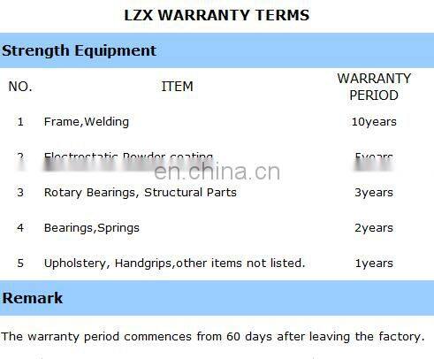 LZX-2017 gym machines/china top ten bodybuilding fitness equipment