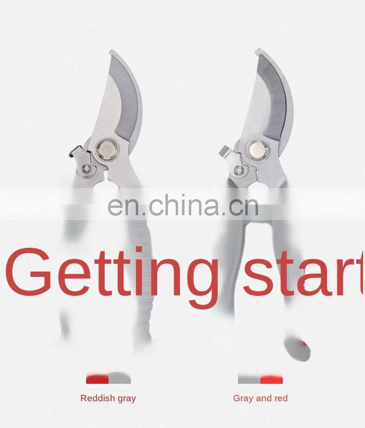 Clippers for Plants Trimming Pruning Shear with Straight Stainless Steel Blades Professional Pruner Gardening Shears Scissors Clippers for Plants Trimming Pruning Shear with Straight Stainless Steel Blades Professional Pruner Gardening Shears Scissors