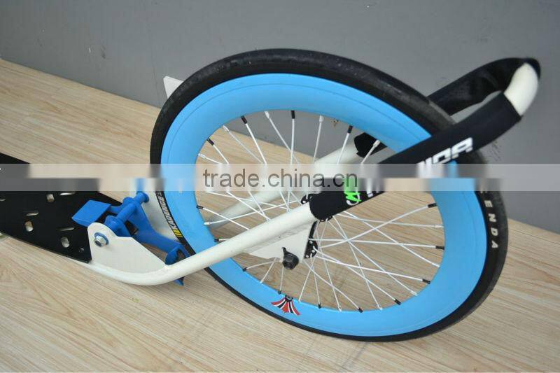 2013 new style foot scooter dog scooter kick bike