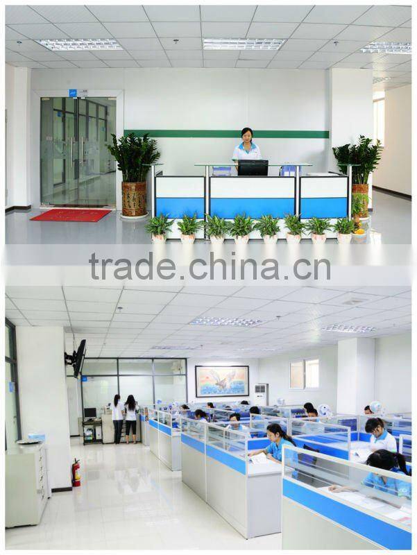 Rechargeable cell phone battery C-X2