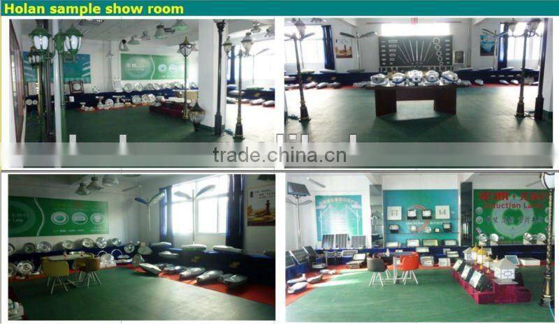 induction lamp downlight fitting