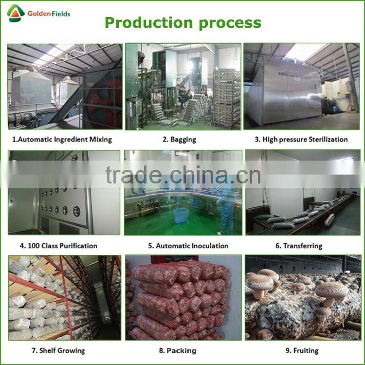 Black Chinese Mushrooms,Shitake Mushrooms Health Benefits,Growing Shitake Mushrooms