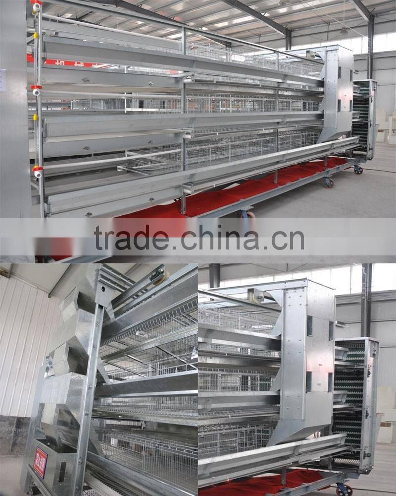 Chicken farm south africa egg layer cages