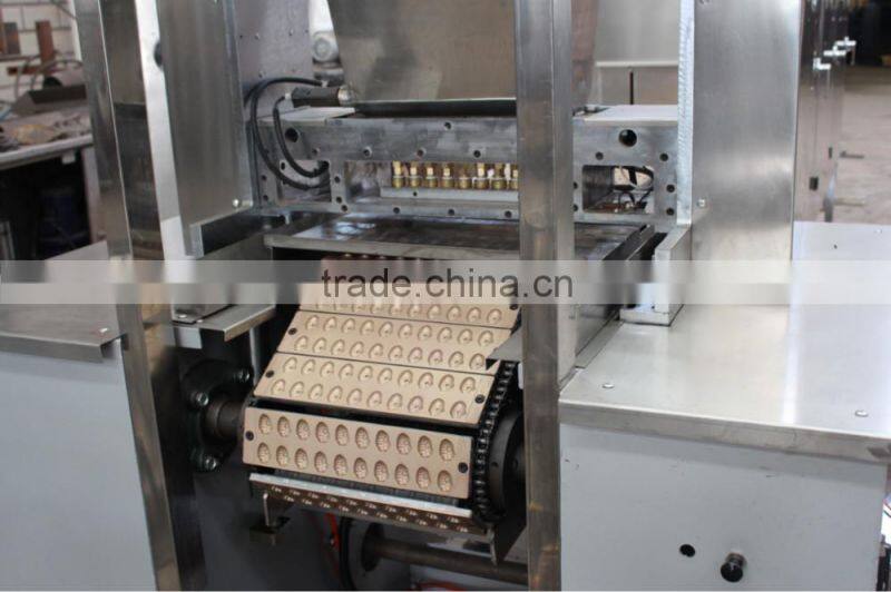 GD100QL Small Carrageenan/Pectin/Gelatin Gummy Jelly Candy Production Line