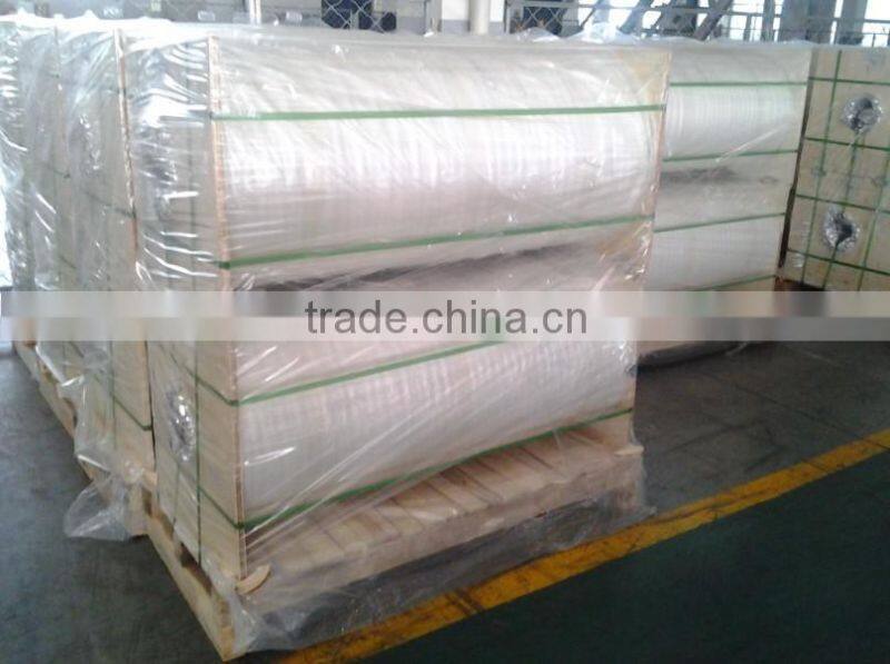 High Quality Silicone Coating Polyester Release Liner