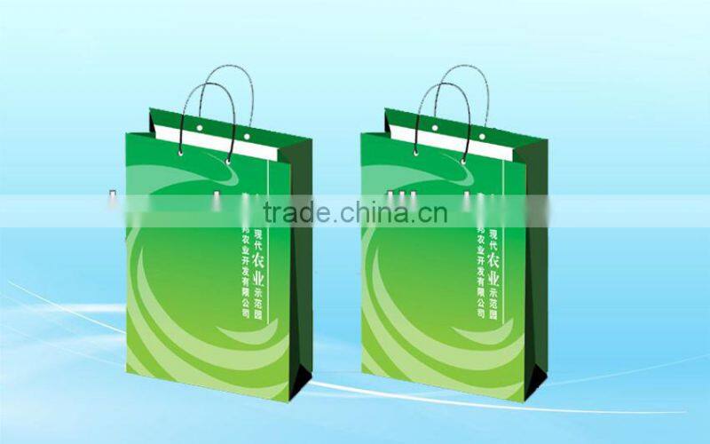 Food service paper shopping bag