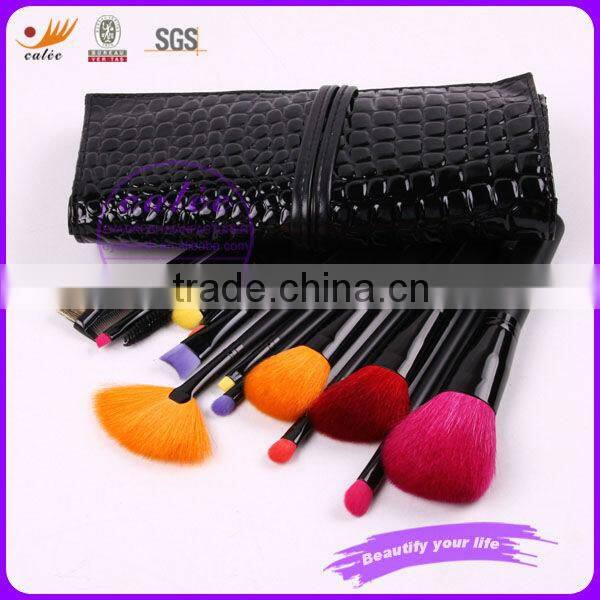 New design 14pcs Makeup Brushes Set with colors