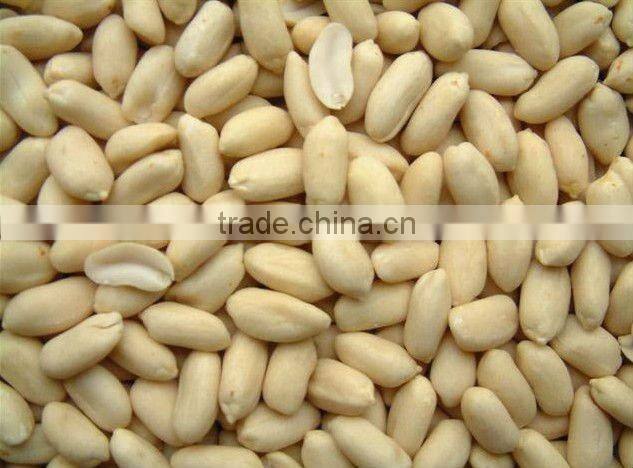 PEANUT BEADED PEANUT KERNEL