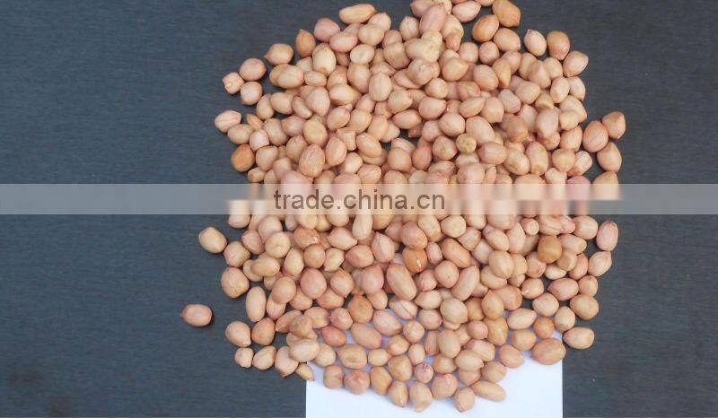 OEGANIC BOLD PEANUT KERNEL