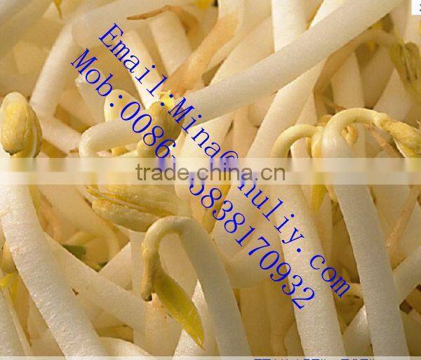75kg per day black bean sprouts making machine