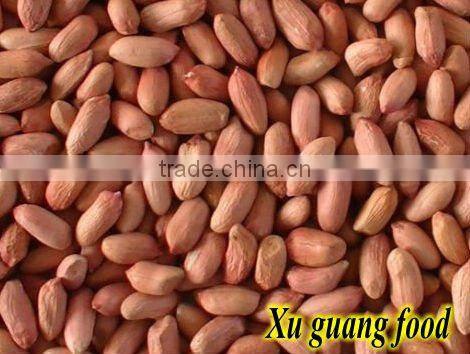 Washed wholesale roasted peanuts in shell