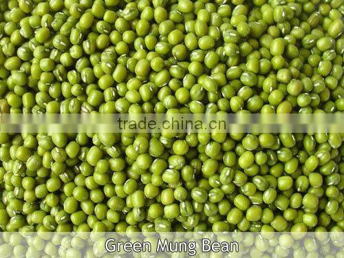 2015 Hot sale Longkou vermicelli 500g