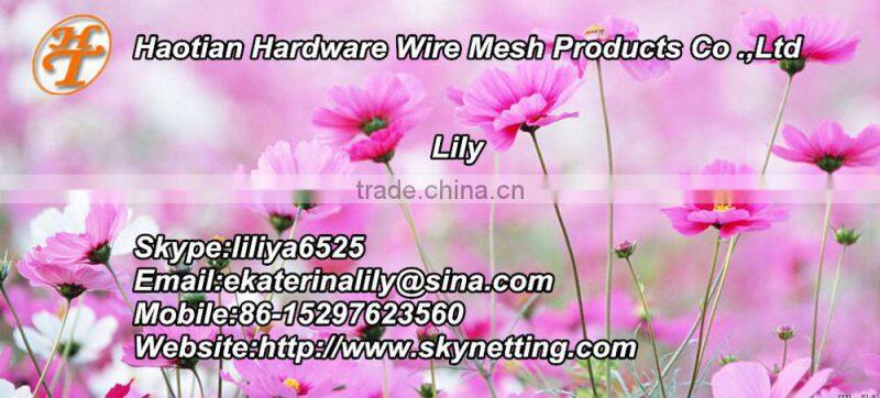 Spiral ground anchor rod /helix post anchor