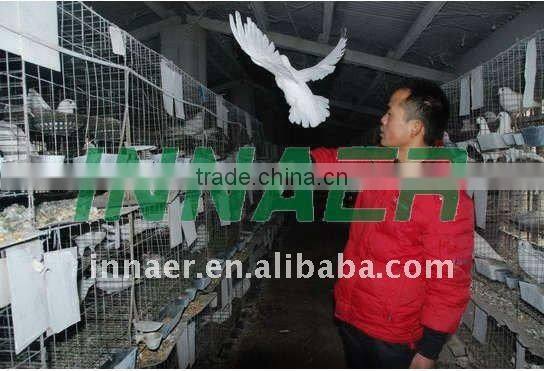 INNAER supply high quality metal cages for doves/pigeons 0086-18231821782