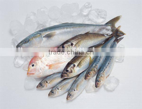 Manual Meat Brine Injector / meat injector for sale