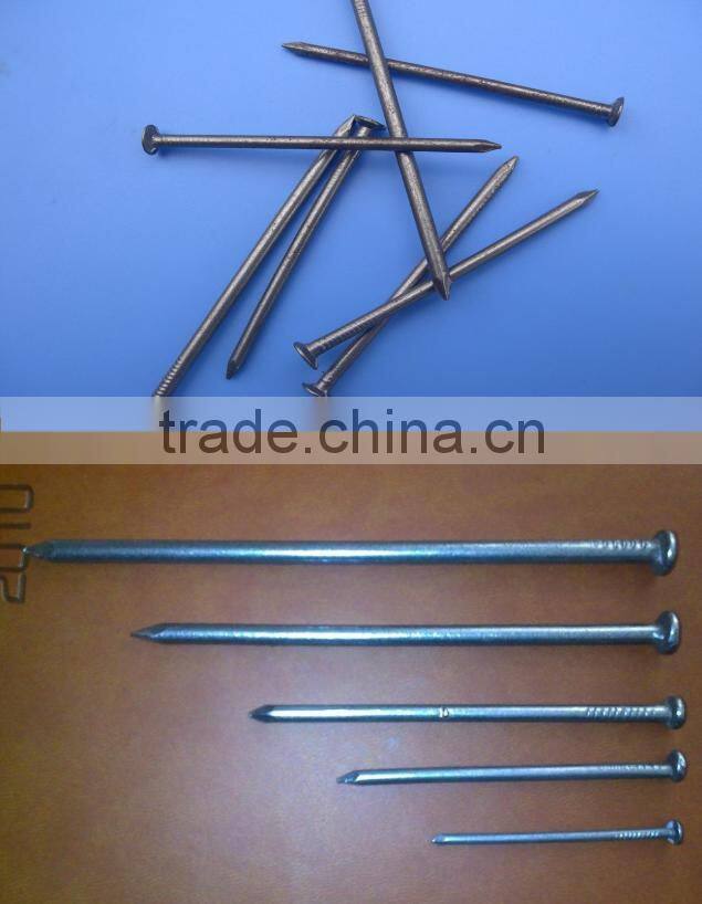 Common nail for construction