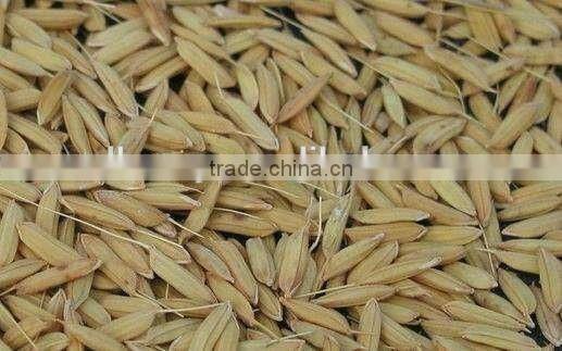 rice and wheat threshing machine on sale