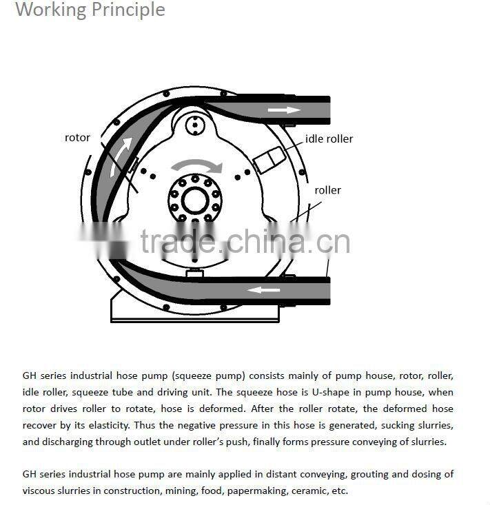 ISO OEM supplier Industrial GH series hose squeeze peristaltic pump