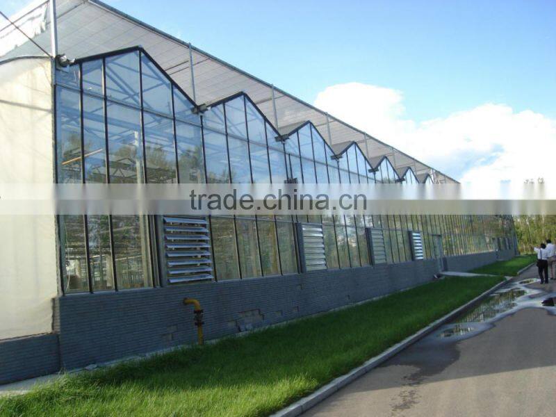 Chian Xinhe Large Multi-span Glass Greenhouse commercial Greenhouses