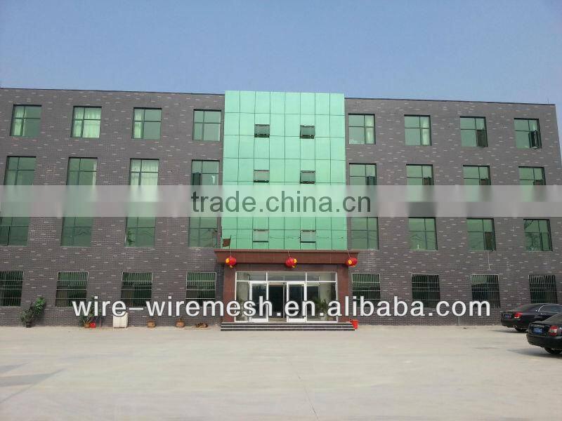 Galvanized Welded Wire Mesh Panel