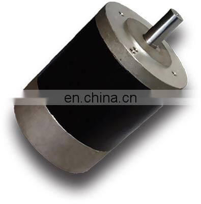 OD 100 mm 1500 rpm brushed 12v dc motor high speed permanent magnet motor BMM317
