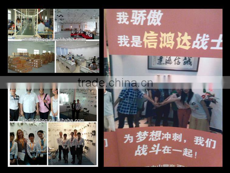 2015&2016 GLASS BALL LED CEILING LIGHT CHANDELIER FIXTURE LAMP