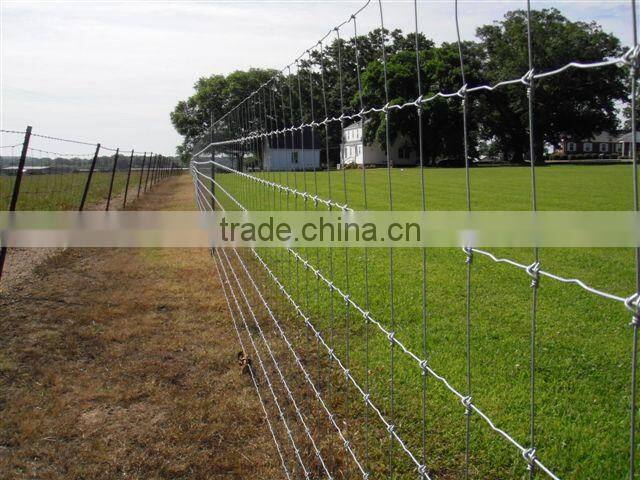 5 feet Hot Dipped Farm Fencing Wire
