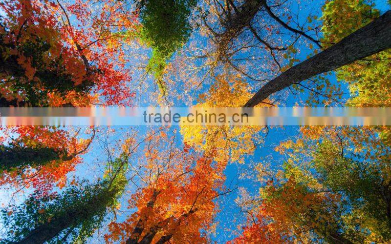 PGI-470 CLI-471 Reset chip one time use chip MG5740 for Canon Compatible chip