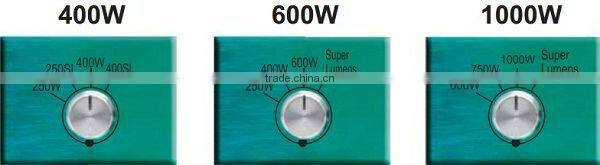 UL and CE certificated 400w electronic ballast for mh/hps lamps