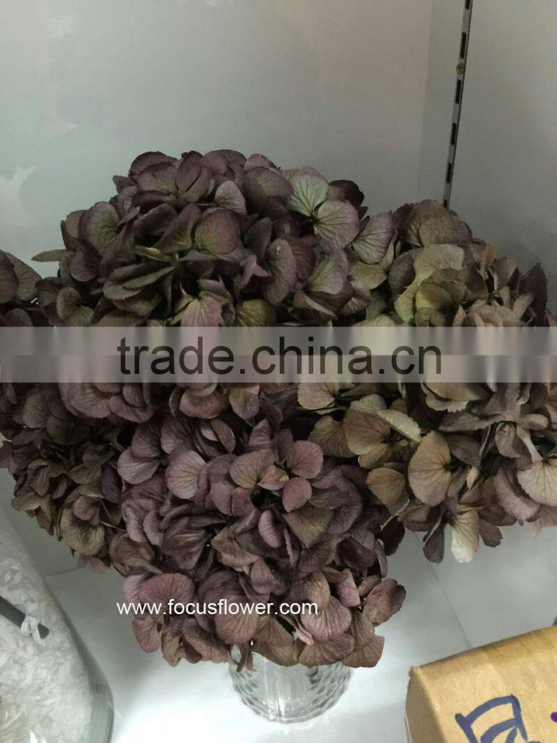 Factory Wholesale Artificial Flower Wholesale Blue Artificial Hydrangea Flowers