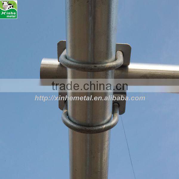 Hot dip galvanised Single Type Free Stall Cow