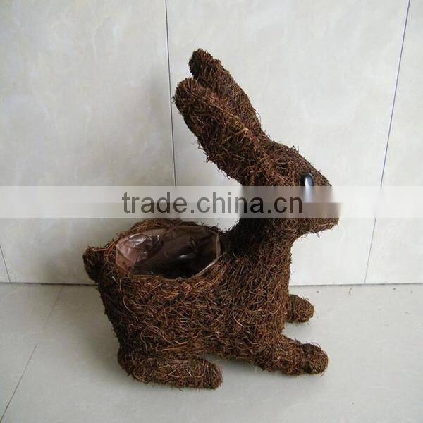 Grow plants favors overlapping grapevines mossy pot