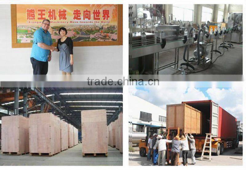 Complete fruit juice extraction machine (Hot sale)