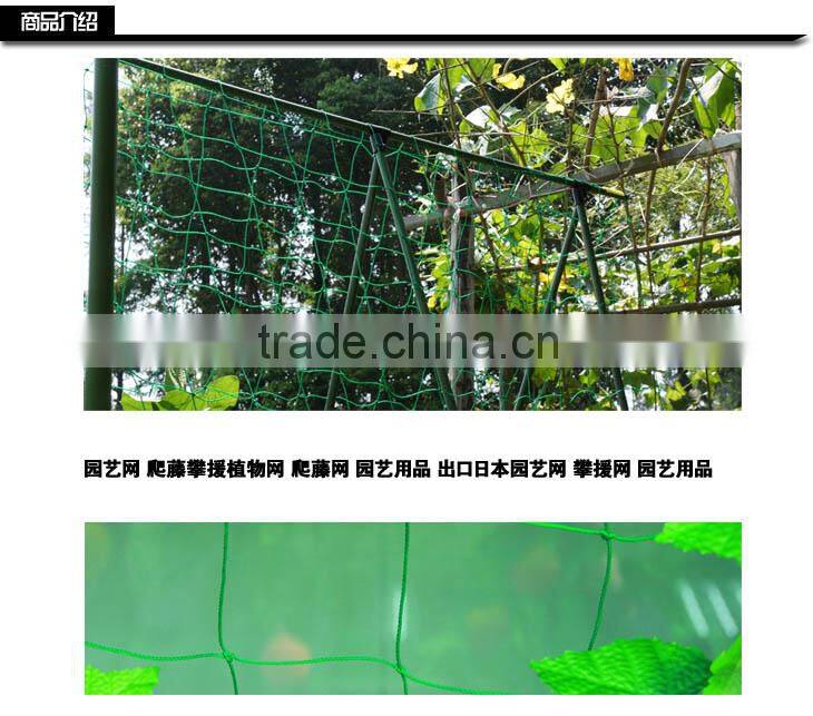 climbing support net