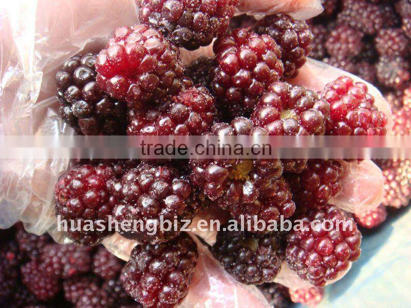 BRC,KOSHER,HALAL IQF blackberry