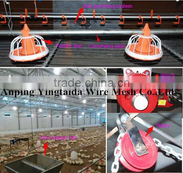 standardized chicken/broiler shed equipment producers