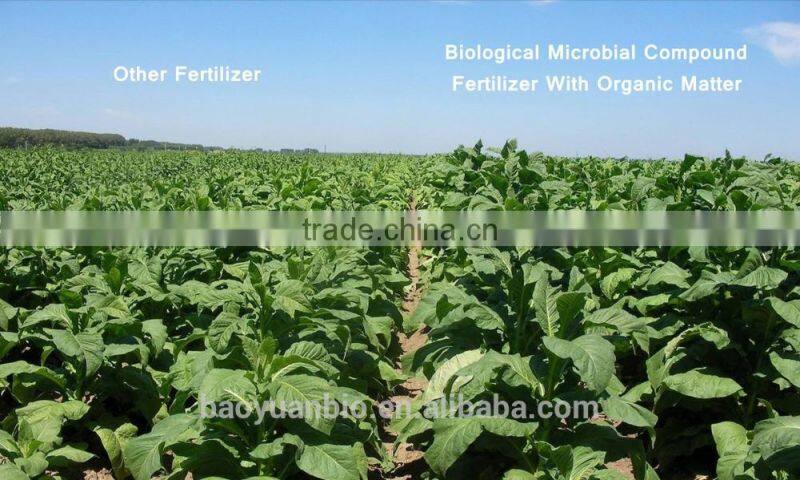 Biological Microbial Compound Fertilizer With Organic Matter