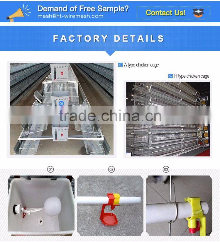 30 Years' factory supply automatic chicken broiler cages