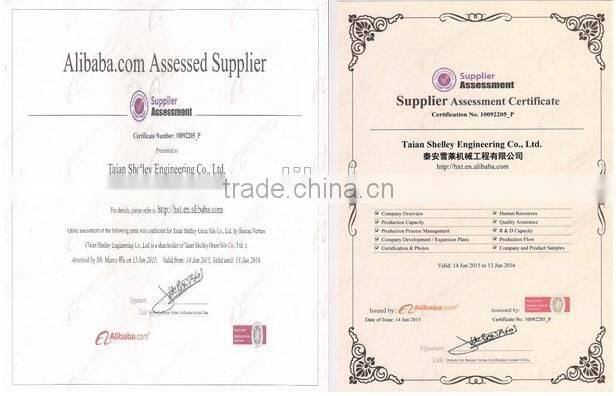 Steel material grain bucket elevator supplier