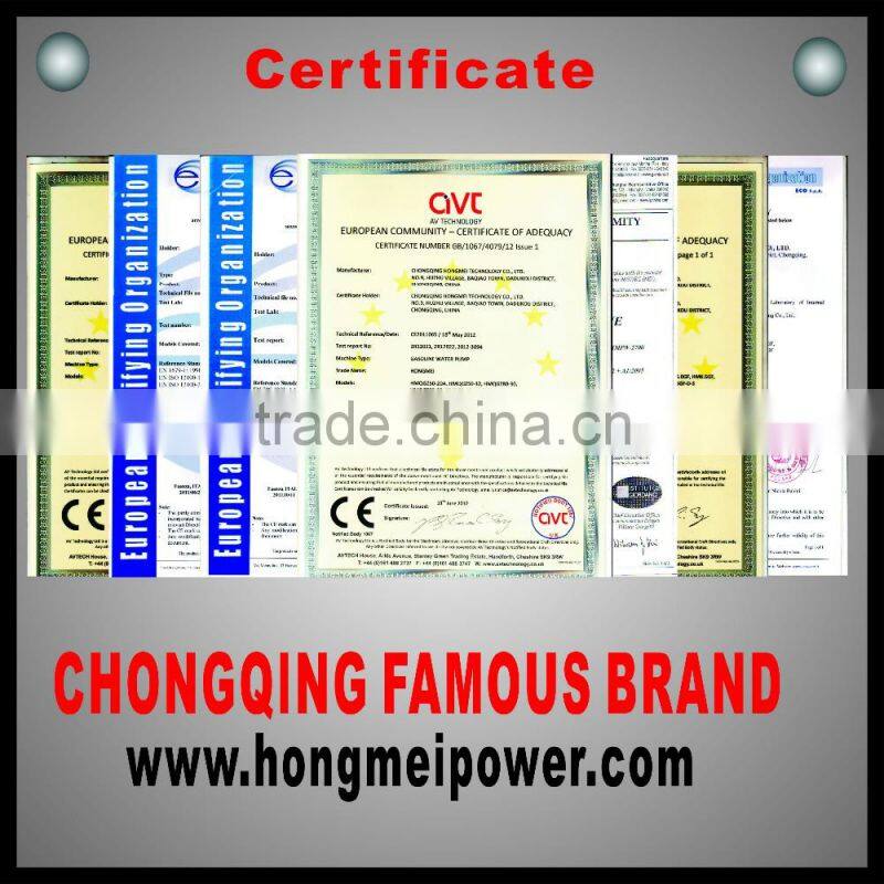 6.5HP CE STANDARD GASOLINE ENGINE