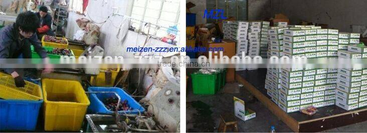 popular plastic tap with high good quality